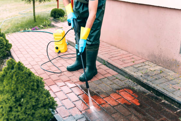 Best Animal Enclosure Cleaning  in Oak Ridge, TN
